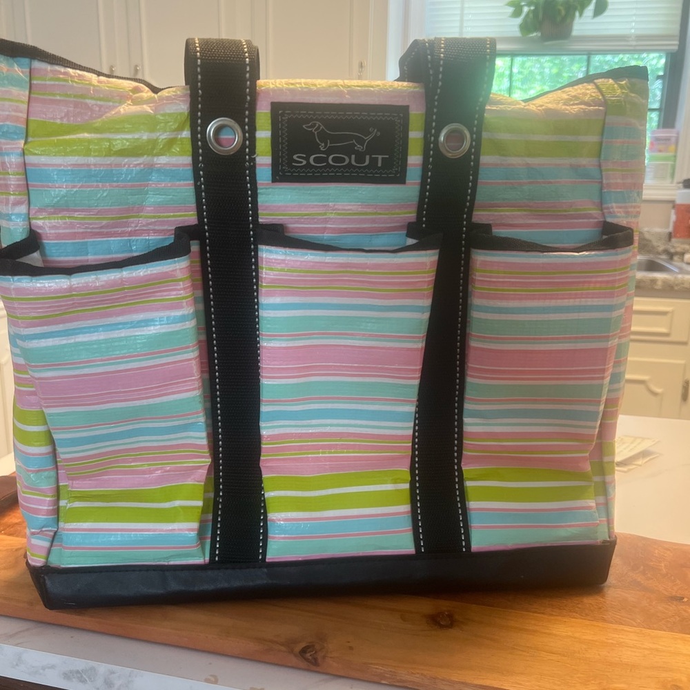 Scout Pink and Green Tote Bag with Stripes